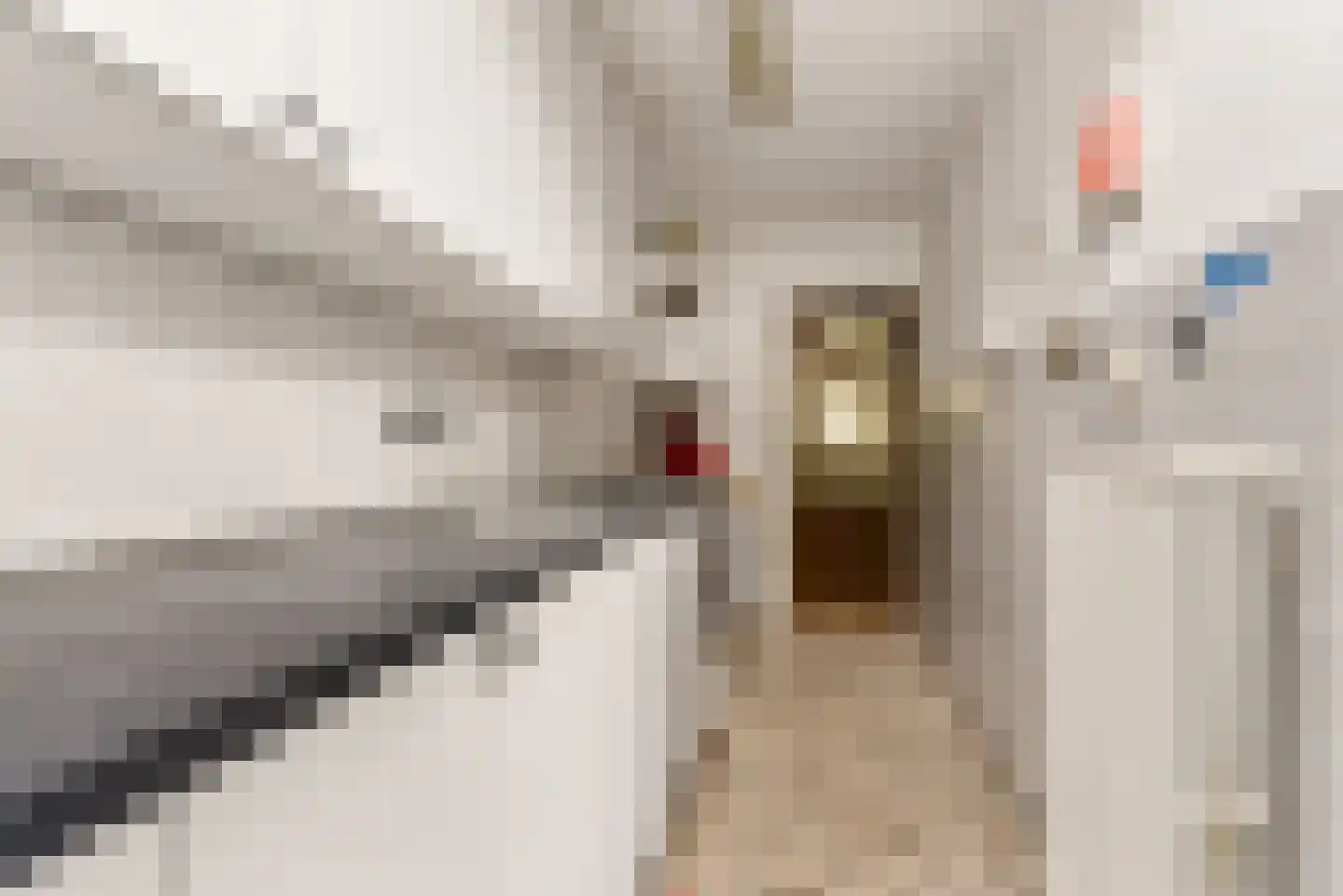 Begoniastraat 2 Utrecht thumbnail 13