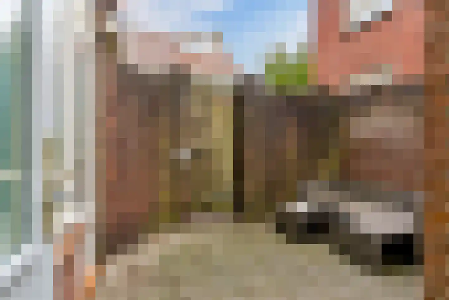 Begoniastraat 2 Utrecht thumbnail 16
