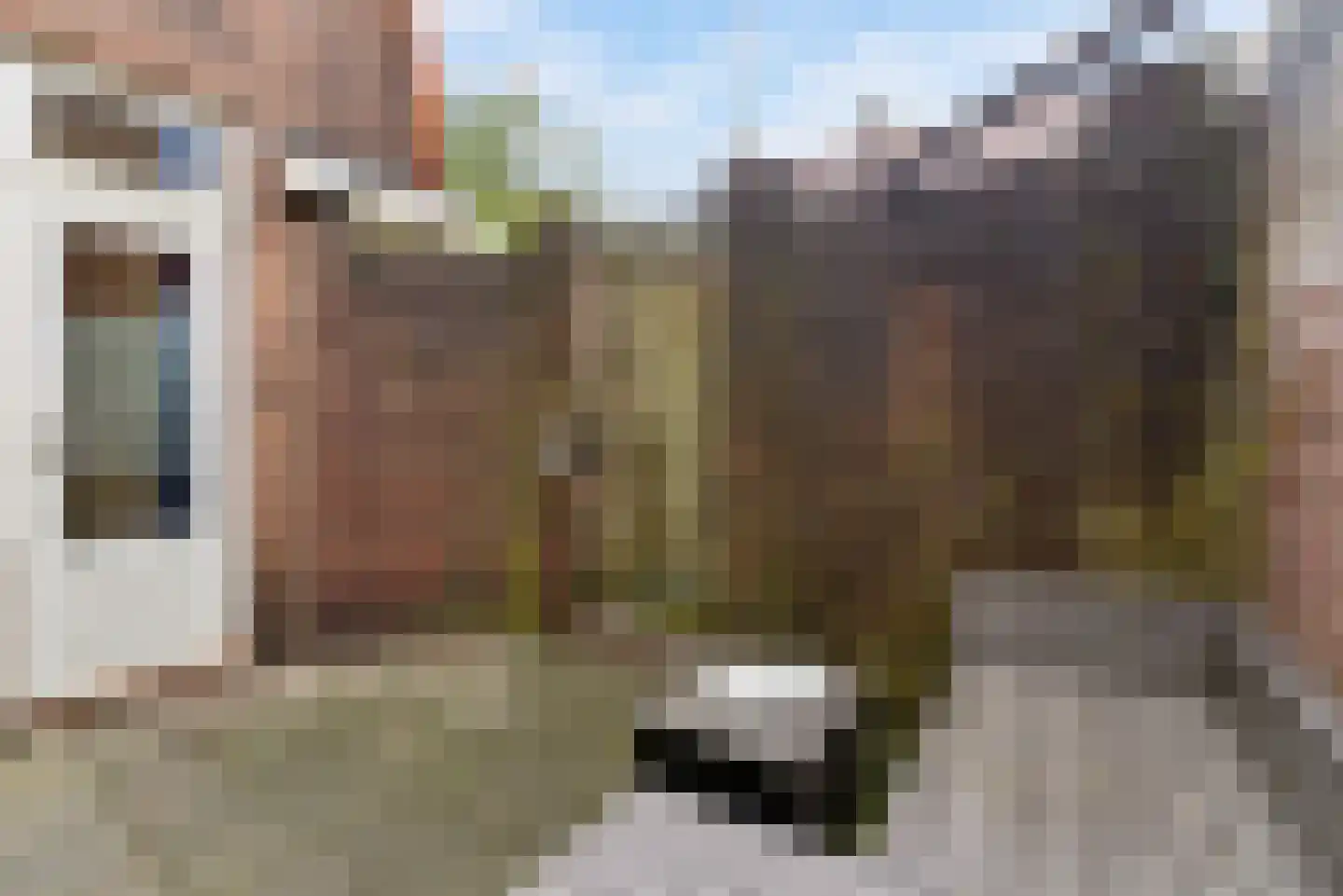 Begoniastraat 2 Utrecht thumbnail 17