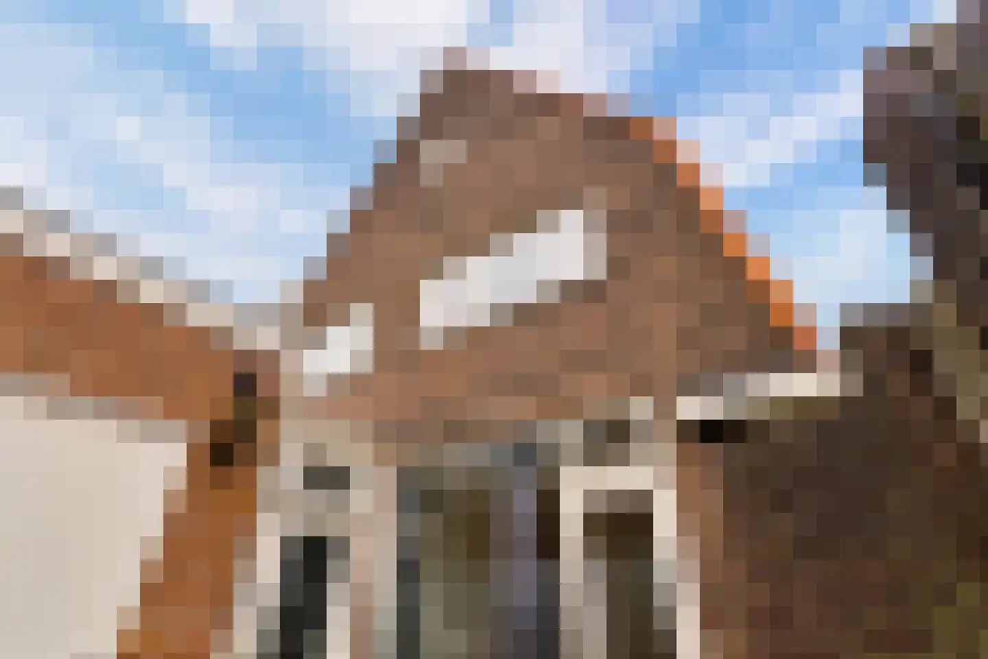 Begoniastraat 2 Utrecht thumbnail 19