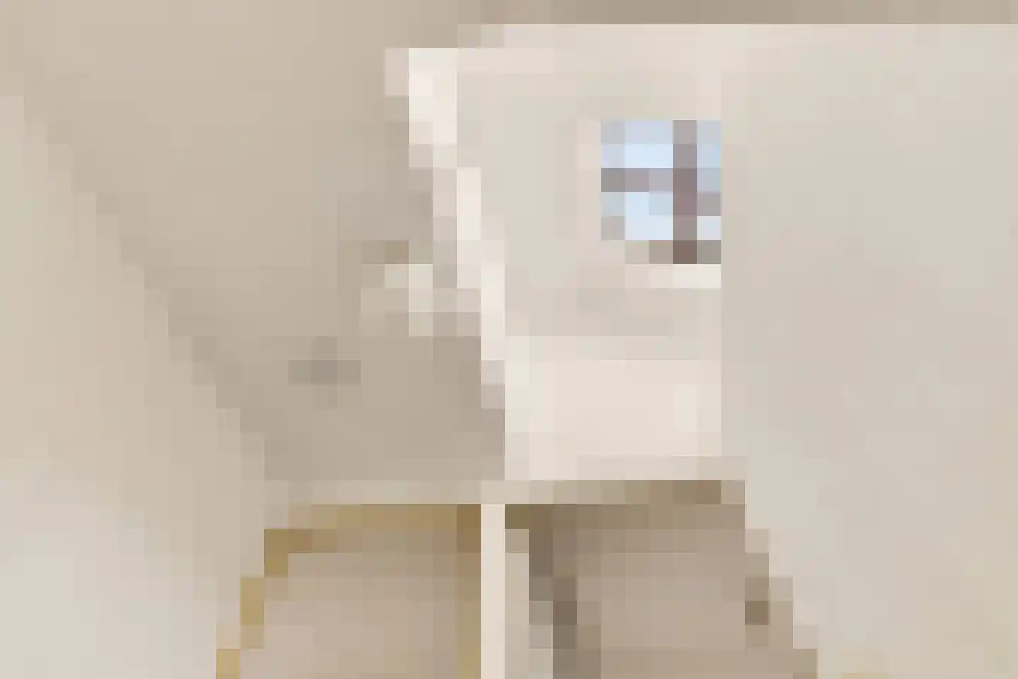 Begoniastraat 2 Utrecht thumbnail 21