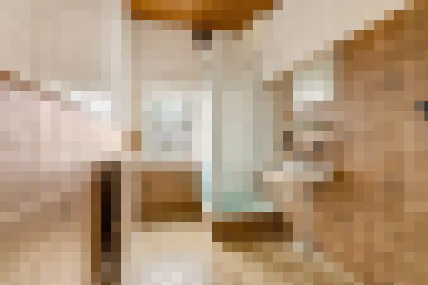 Begoniastraat 2 Utrecht thumbnail 29