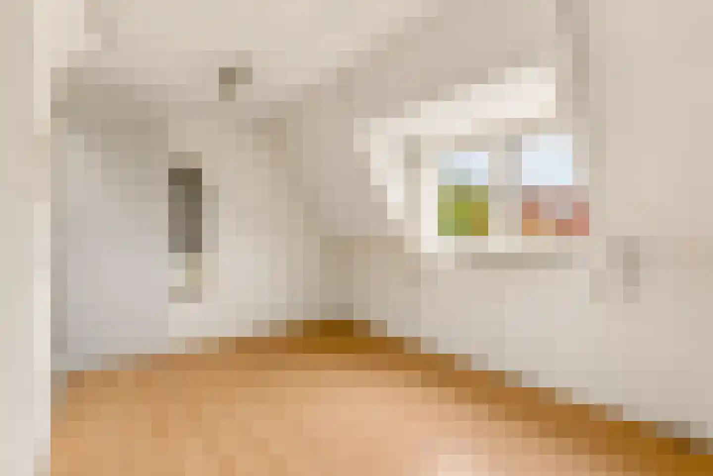 Begoniastraat 2 Utrecht thumbnail 34