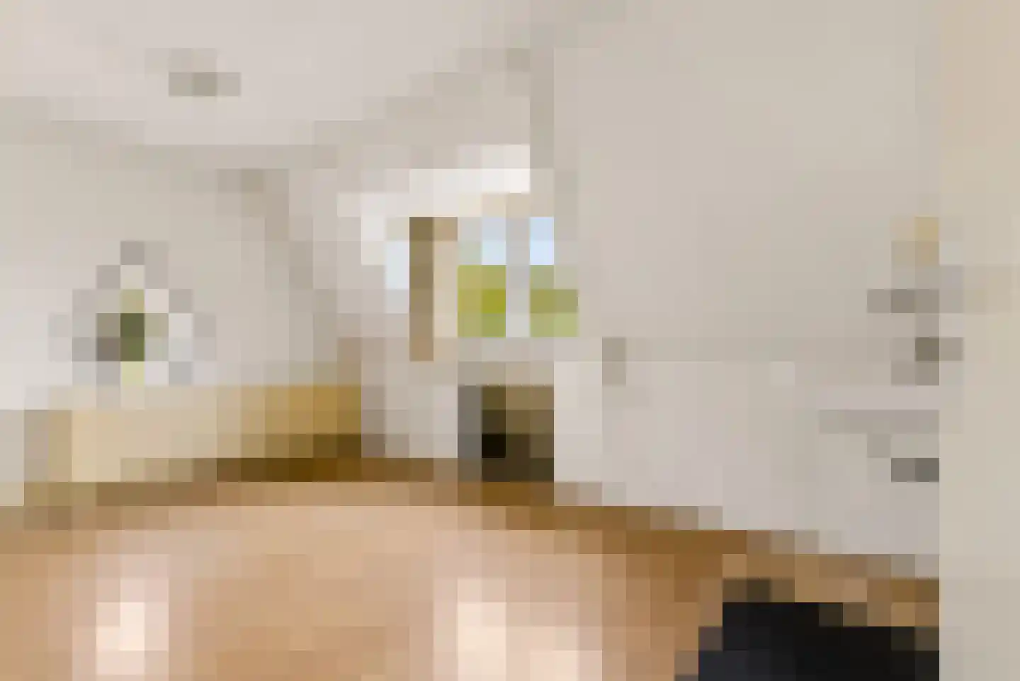 Begoniastraat 2 Utrecht thumbnail 35
