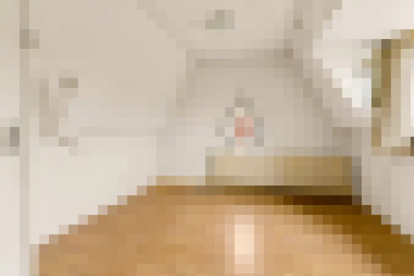 Begoniastraat 2 Utrecht thumbnail 36