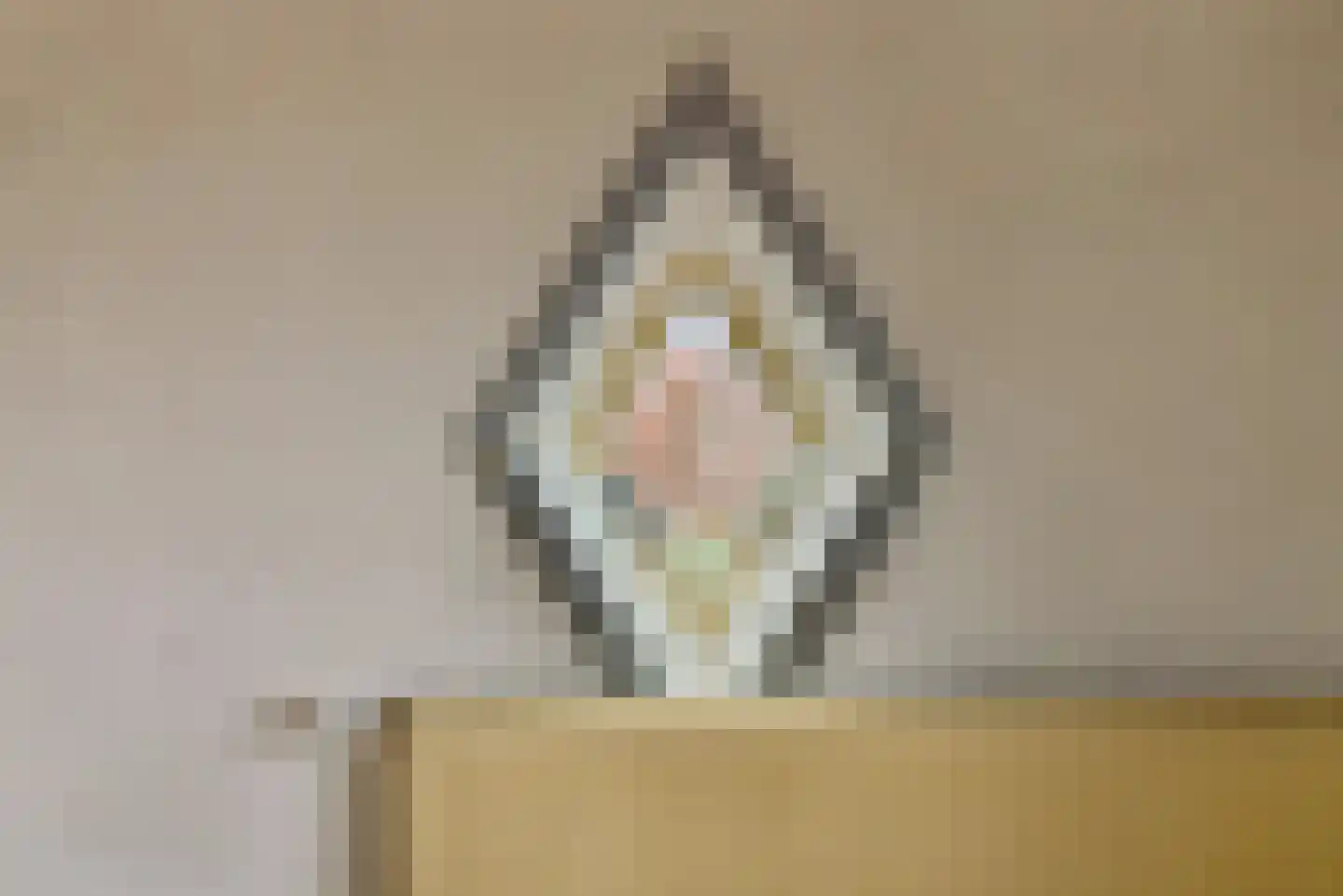 Begoniastraat 2 Utrecht thumbnail 38