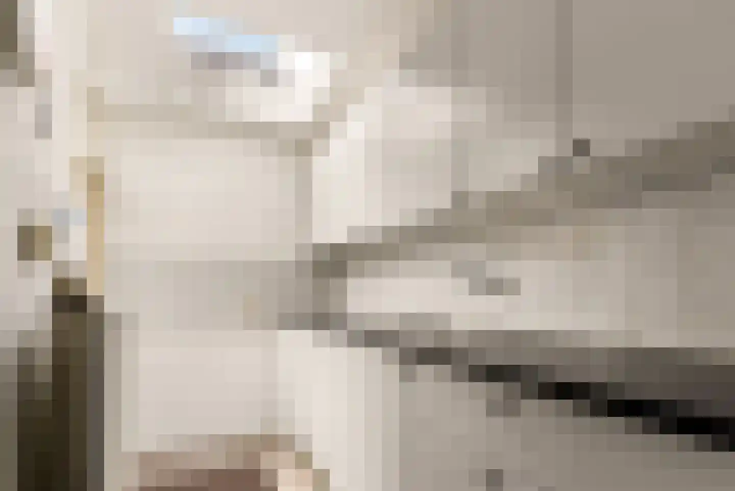 Begoniastraat 2 Utrecht thumbnail 4