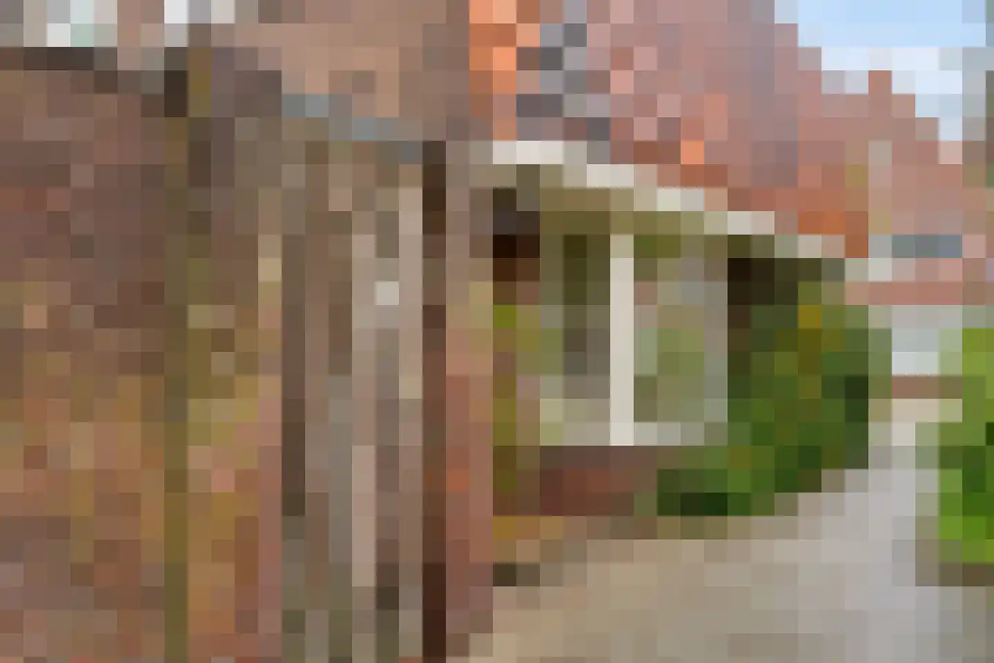 Begoniastraat 2 Utrecht thumbnail 40
