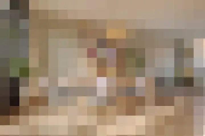 Begoniastraat 20 Zwolle thumbnail 13