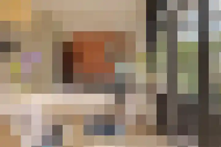 Begoniastraat 20 Zwolle thumbnail 14