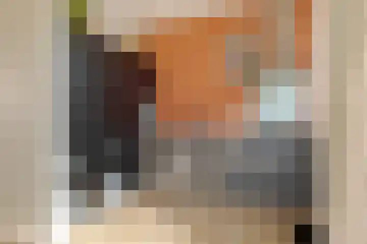Begoniastraat 20 Zwolle thumbnail 15