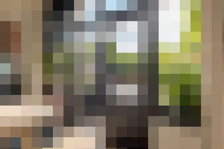 Begoniastraat 20 Zwolle thumbnail 17