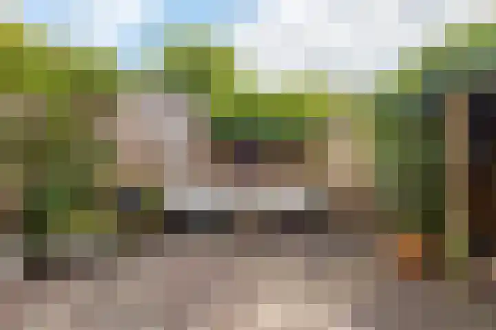 Begoniastraat 20 Zwolle thumbnail 20
