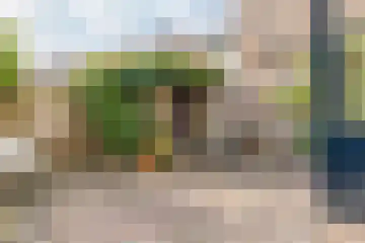 Begoniastraat 20 Zwolle thumbnail 21