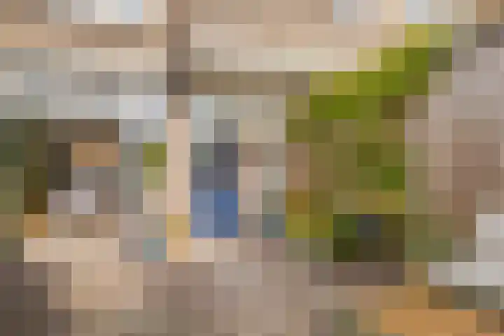 Begoniastraat 20 Zwolle thumbnail 23