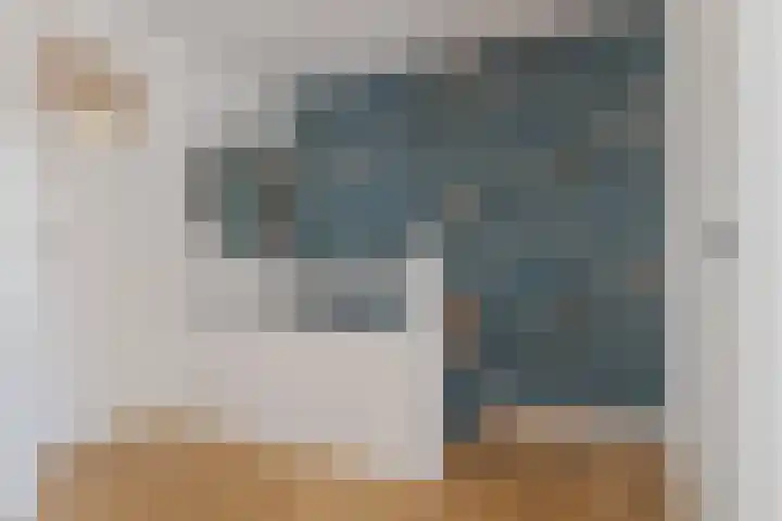Begoniastraat 20 Zwolle thumbnail 26