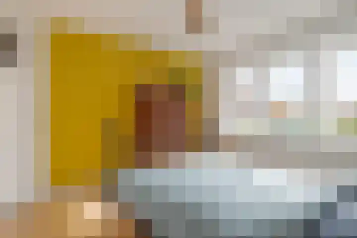 Begoniastraat 20 Zwolle thumbnail 29