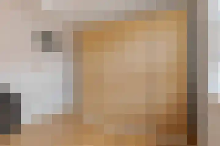 Begoniastraat 20 Zwolle thumbnail 32