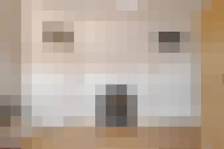 Begoniastraat 20 Zwolle thumbnail 33