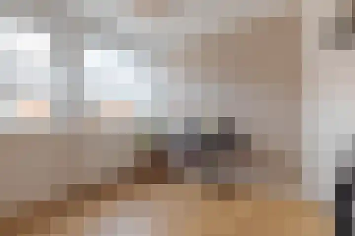 Begoniastraat 20 Zwolle thumbnail 34