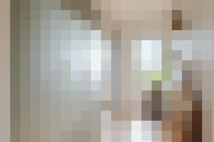 Begoniastraat 20 Zwolle thumbnail 35