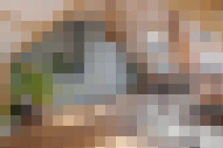 Begoniastraat 20 Zwolle thumbnail 42