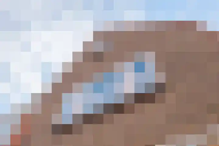 Begoniastraat 20 Zwolle thumbnail 47