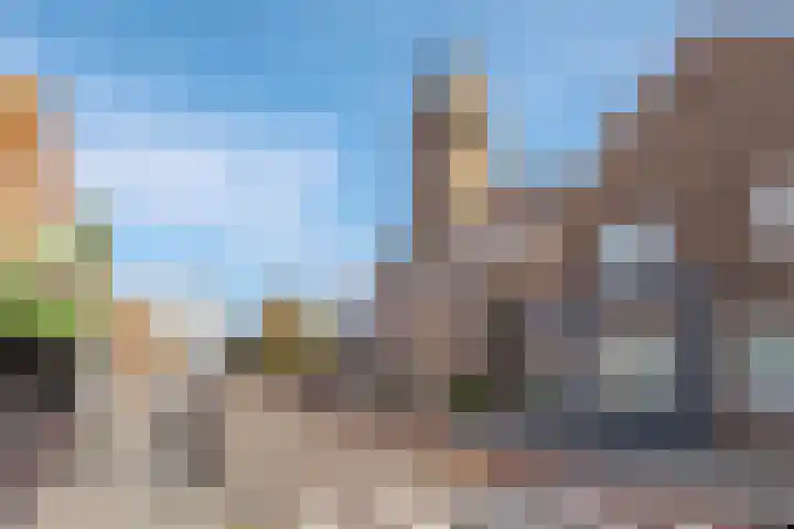 Begoniastraat 20 Zwolle thumbnail 49