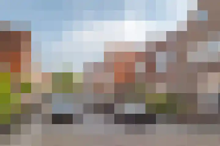 Begoniastraat 20 Zwolle thumbnail 5
