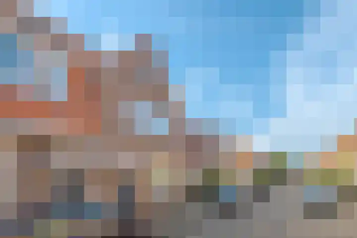 Begoniastraat 20 Zwolle thumbnail 6