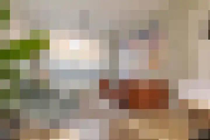 Begoniastraat 20 Zwolle thumbnail 9