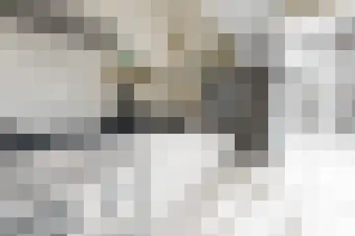 Begoniastraat 200 Den Haag thumbnail 17