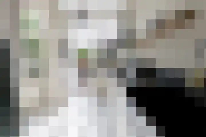 Begoniastraat 200 Den Haag thumbnail 18