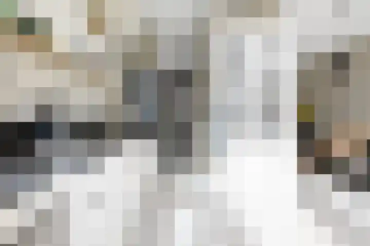 Begoniastraat 200 Den Haag thumbnail 19