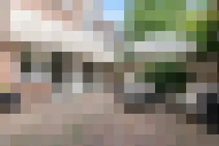 Begoniastraat 200 Den Haag thumbnail 20