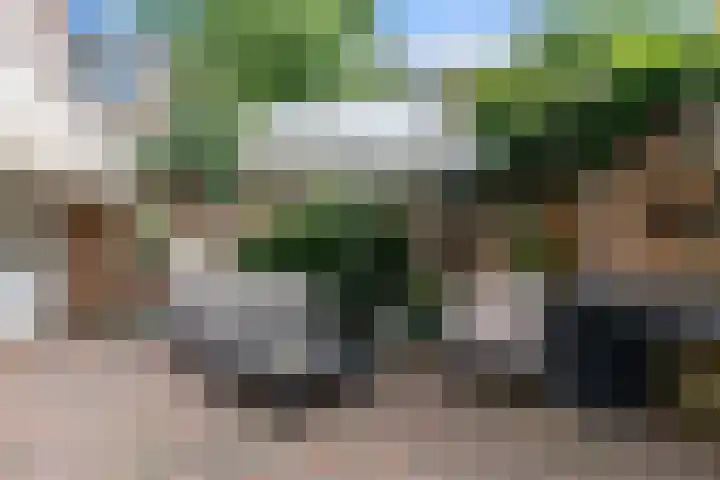 Begoniastraat 200 Den Haag thumbnail 21
