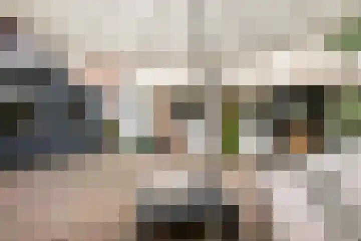 Begoniastraat 200 Den Haag thumbnail 24