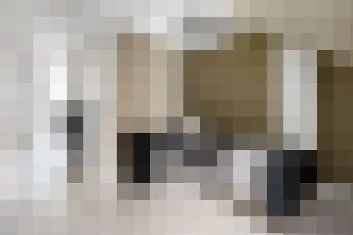 Begoniastraat 200 Den Haag thumbnail 37