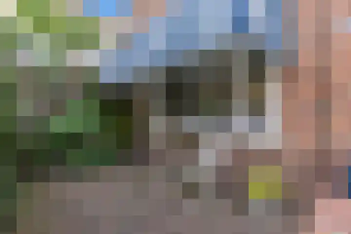 Begoniastraat 200 Den Haag thumbnail 38