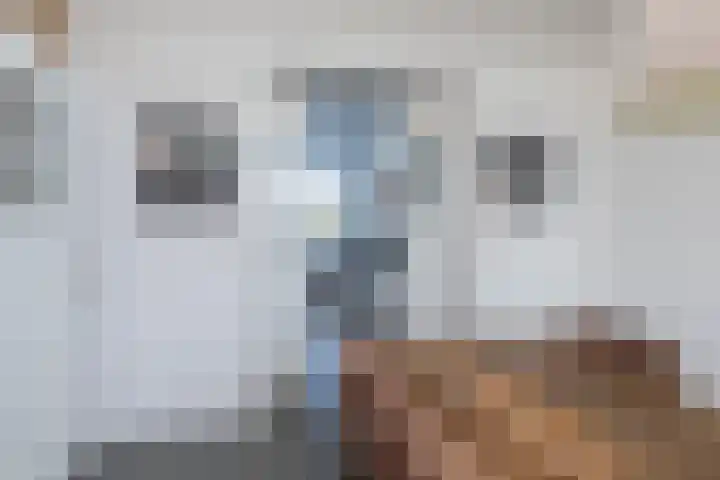 Begoniastraat 204 Den Haag thumbnail 12