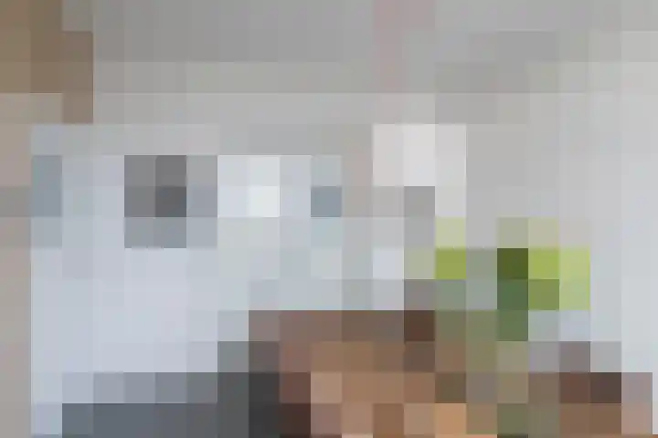 Begoniastraat 204 Den Haag thumbnail 13
