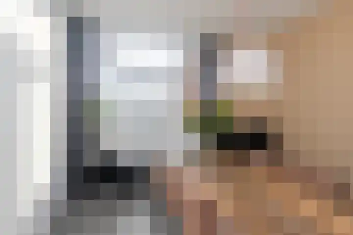 Begoniastraat 204 Den Haag thumbnail 14