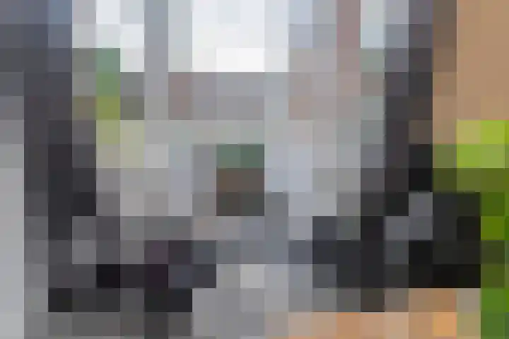 Begoniastraat 204 Den Haag thumbnail 17