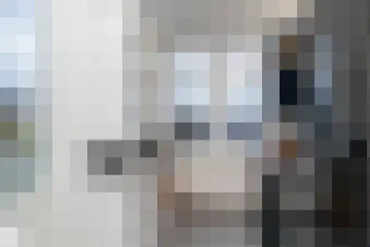 Begoniastraat 204 Den Haag thumbnail 18