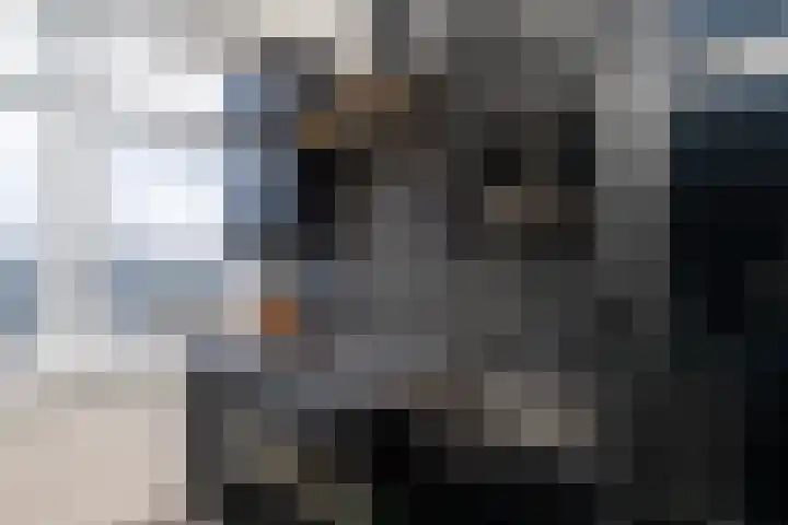 Begoniastraat 204 Den Haag thumbnail 19