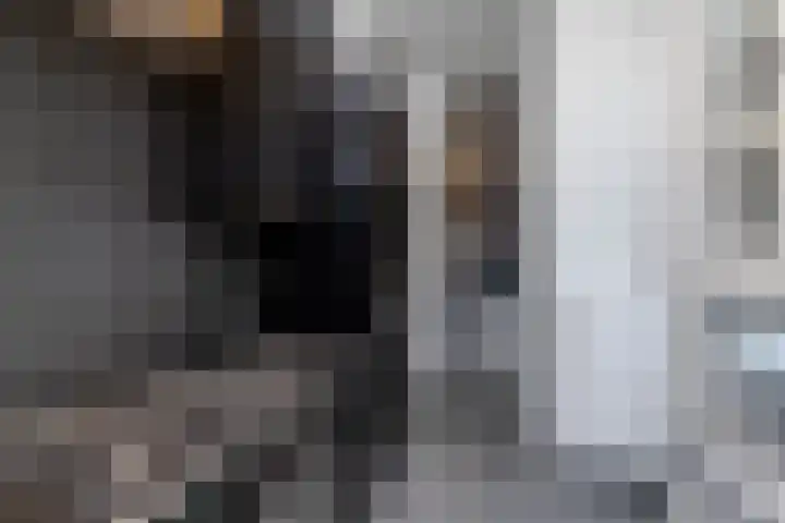 Begoniastraat 204 Den Haag thumbnail 21
