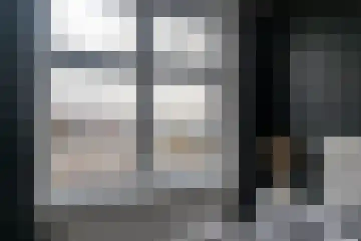Begoniastraat 204 Den Haag thumbnail 23