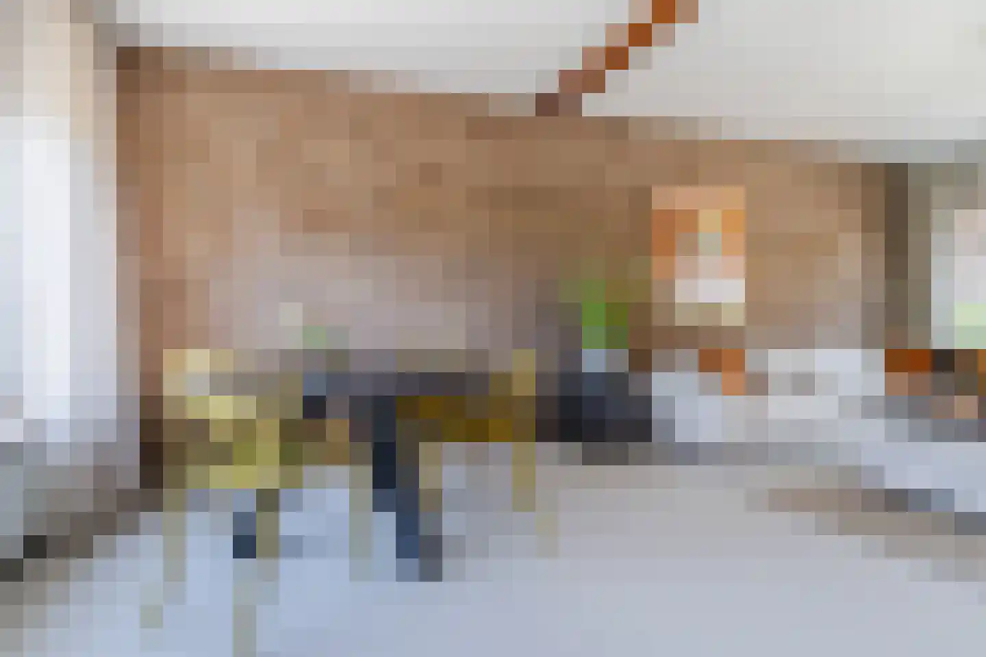 Begoniastraat 22 Tiel thumbnail 15
