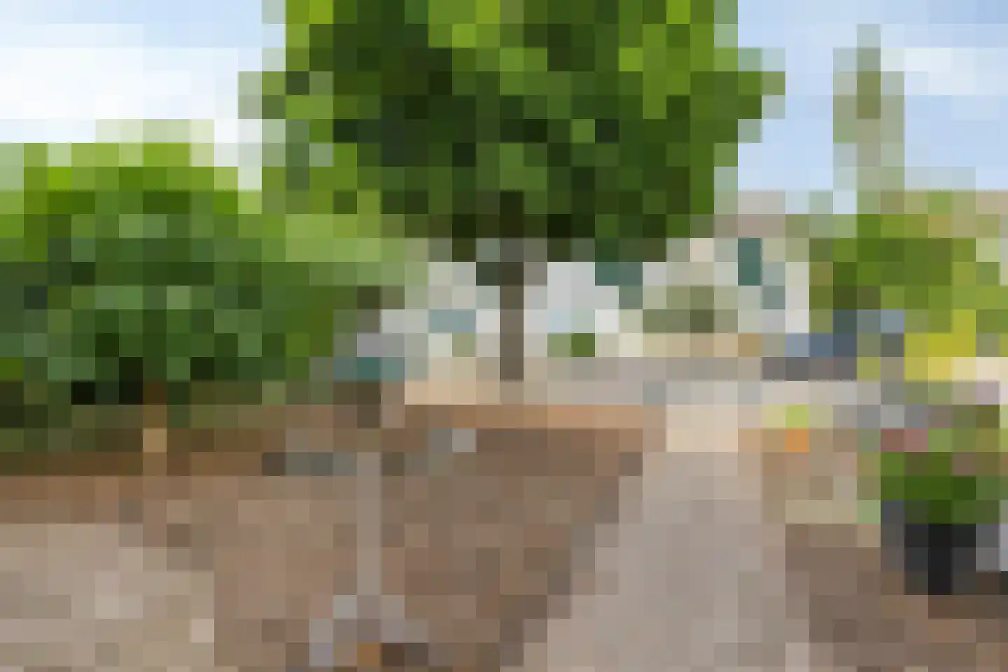 Begoniastraat 23 Doesburg thumbnail 12