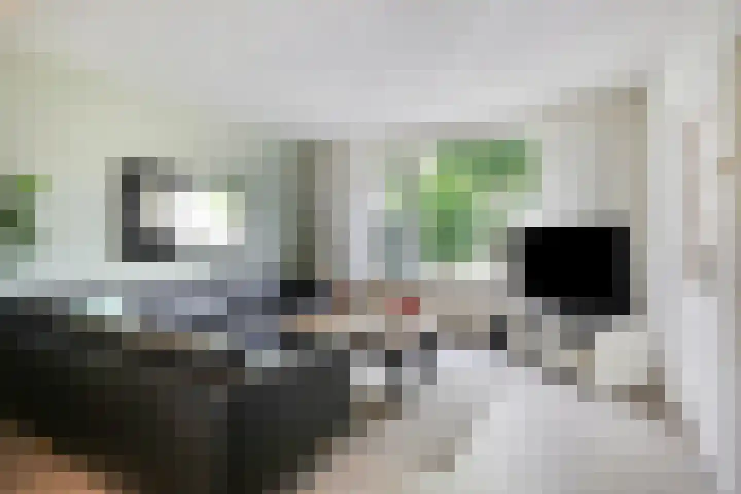 Begoniastraat 23 Doesburg thumbnail 16